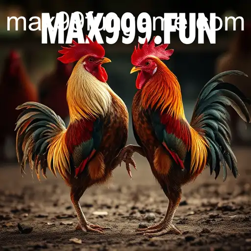 The Controversial World of Cockfighting and the Role of MAX99.FUN